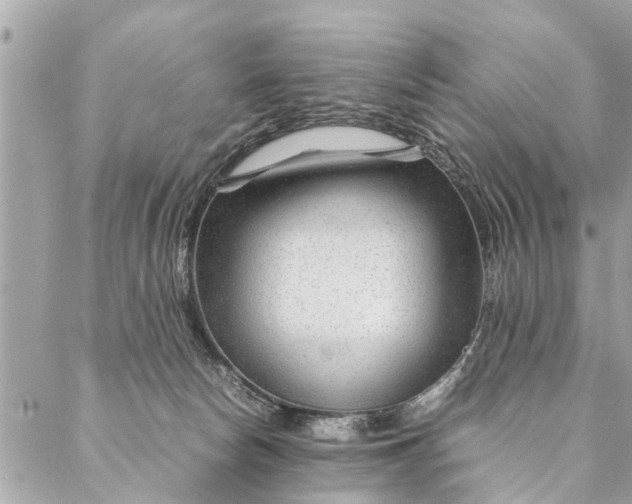 X0000087390178200705042019