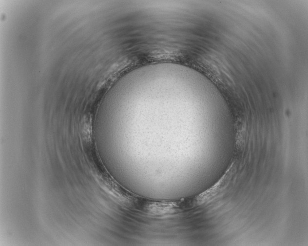 X0000087390179200705042019