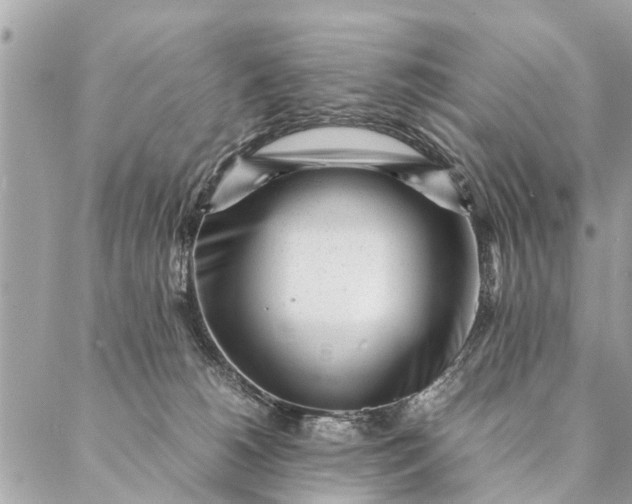 X0000087390180200705042019