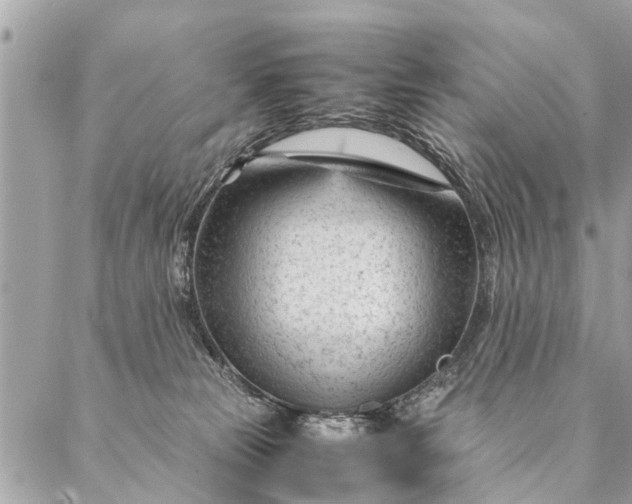 X0000087390181200705042019