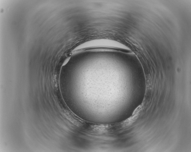 X0000087390182200705042019