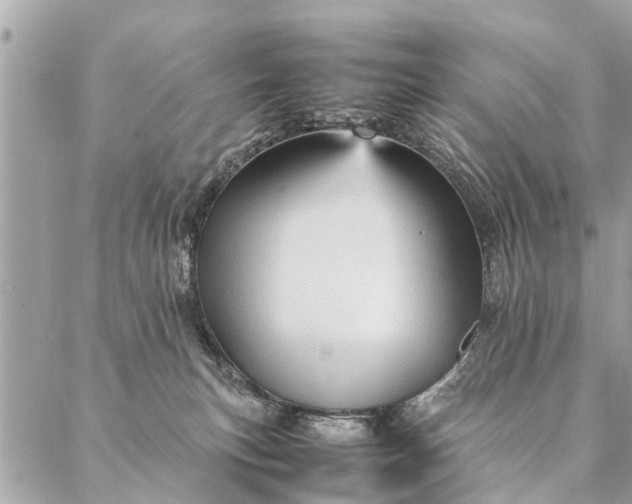 X0000087390183200705042019