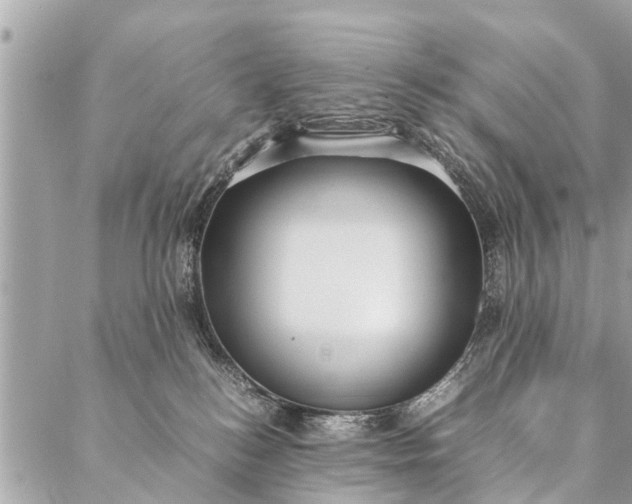 X0000087390184200705042019