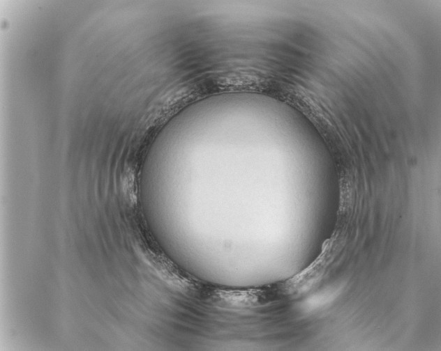 X0000087390187200705042019