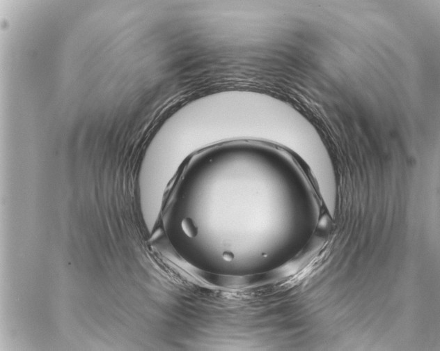 X0000087390188200705042020