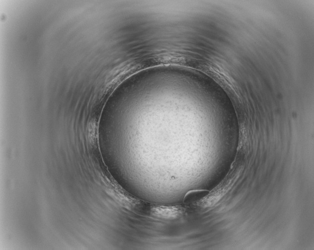 X0000087390189200705042020