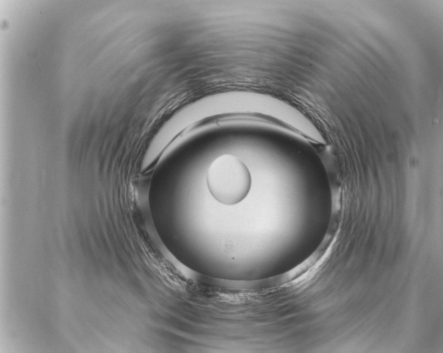 X0000087390190200705042020