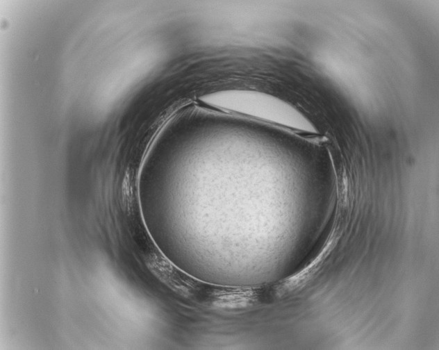 X0000087390191200705042020