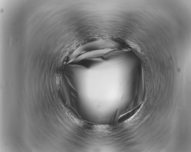 X0000087390192200705042020