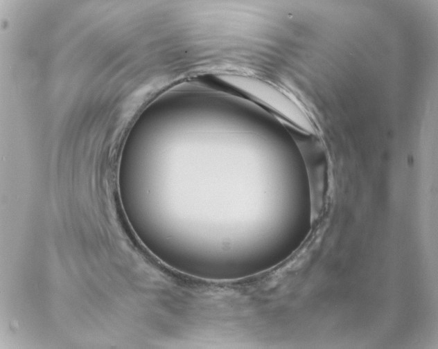 X0000087390193200705042019