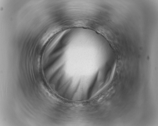 X0000087390194200705042019