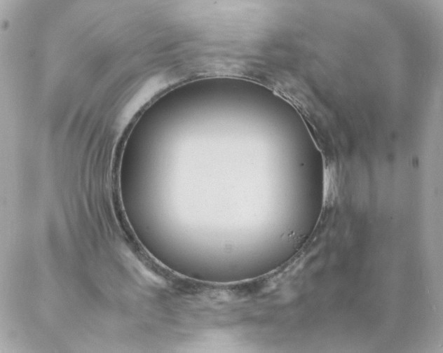 X0000087390195200705042019