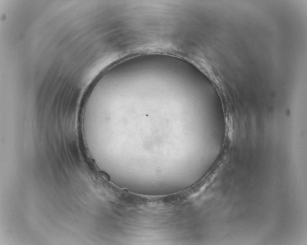 X0000087390196200705042019