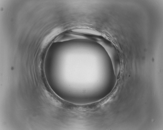 X0000087390197200705042019