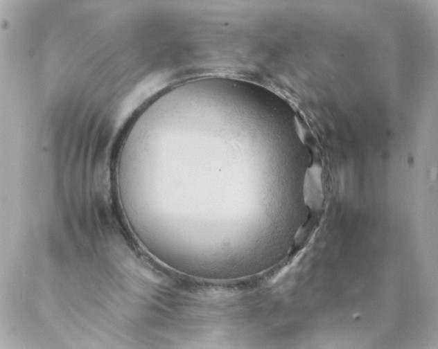 X0000087390198200705042019