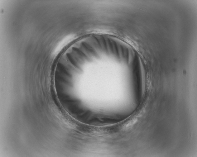 X0000087390199200705042019