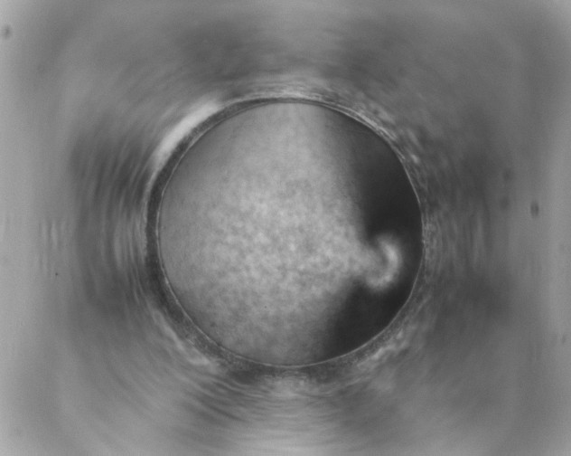 X0000087390200200705042019