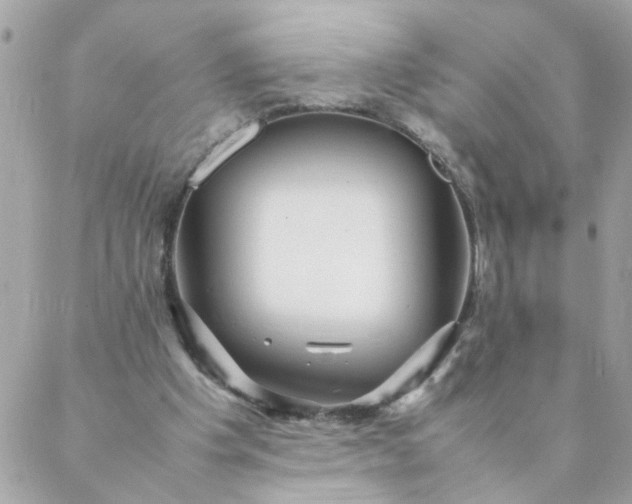 X0000087390201200705042019