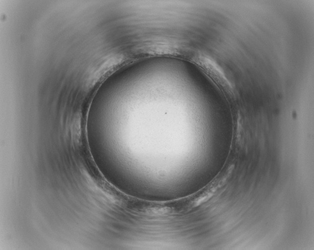 X0000087390202200705042019