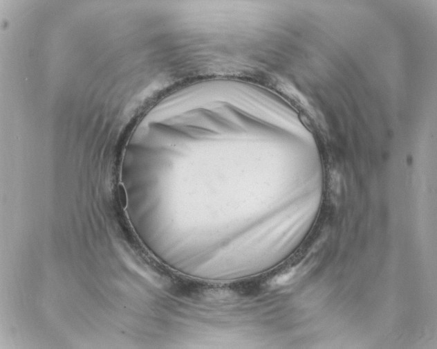 X0000087390203200705042019