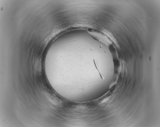 X0000087390204200705042019