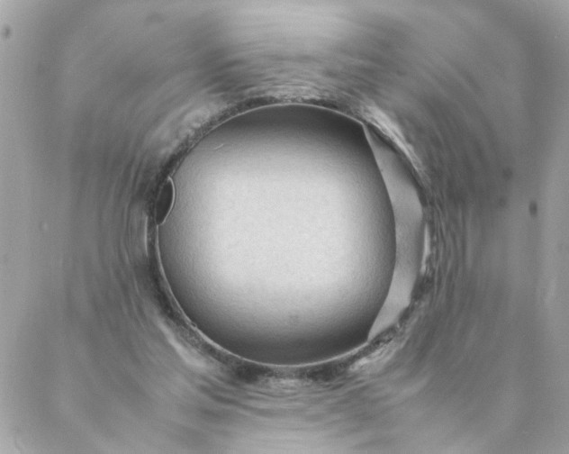 X0000087390205200705042019