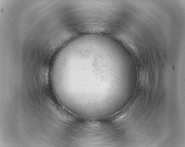 X0000087390206200705042019