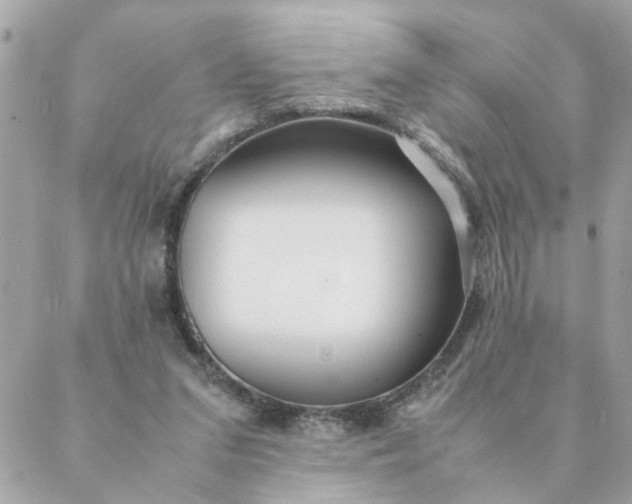 X0000087390207200705042019