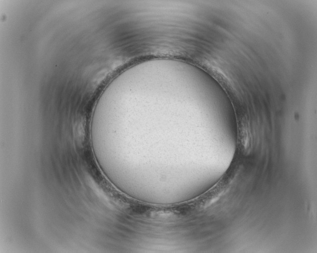 X0000087390208200705042019