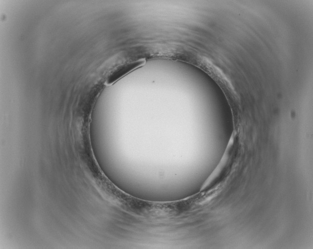 X0000087390209200705042019