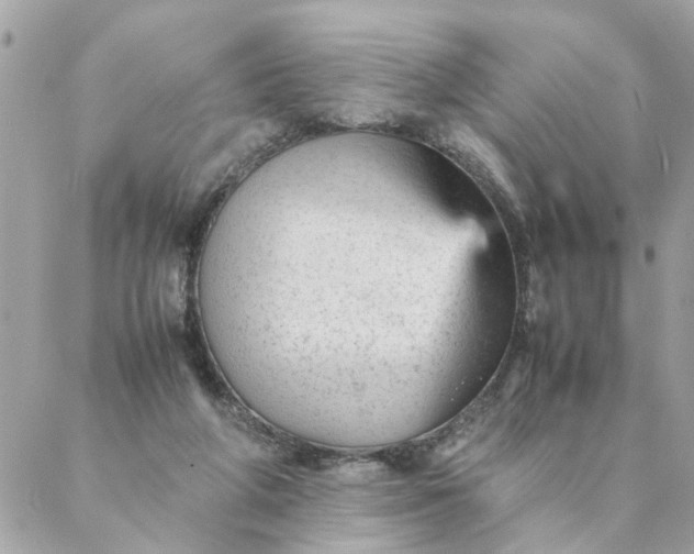 X0000087390210200705042019