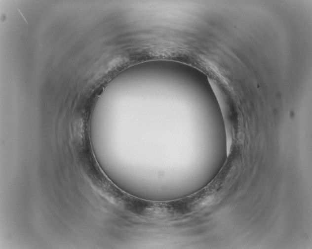 X0000087390211200705042018