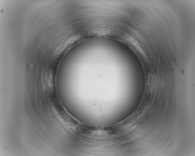 X0000087390212200705042018