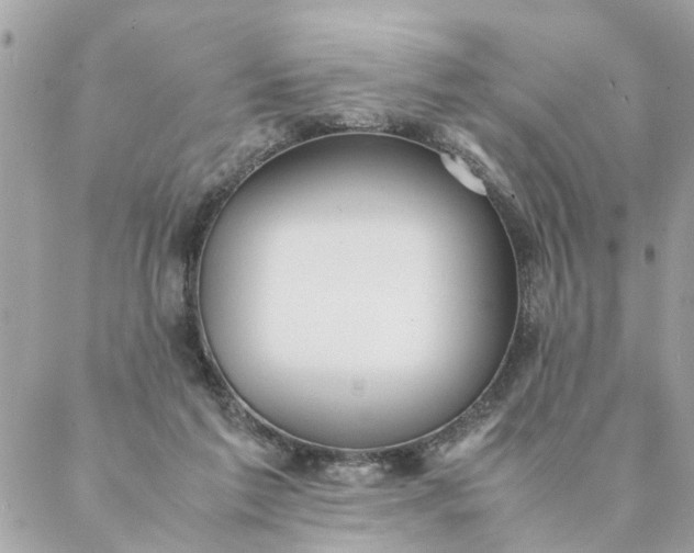 X0000087390213200705042018