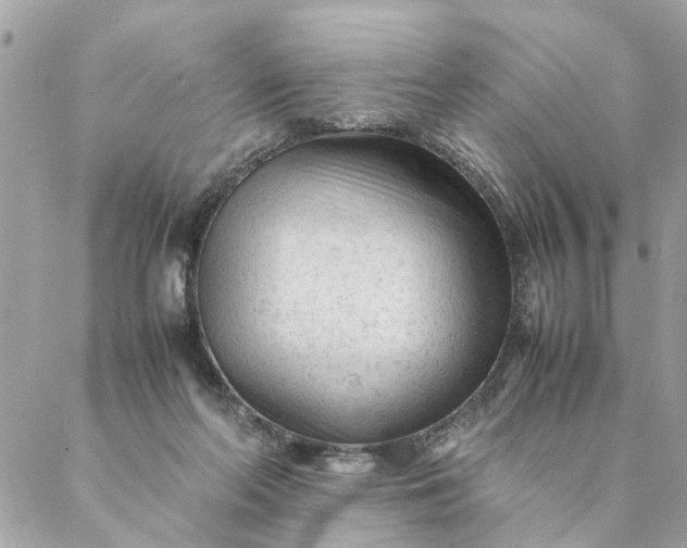 X0000087390214200705042018