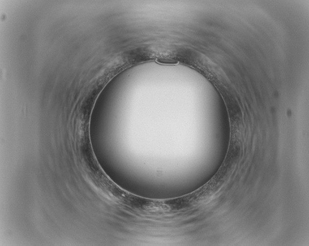 X0000087390215200705042018