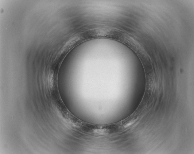 X0000087390216200705042018