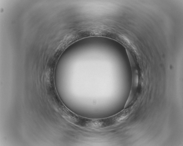 X0000087390217200705042018