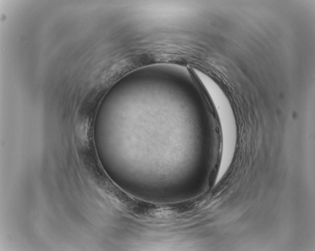 X0000087390219200705042018