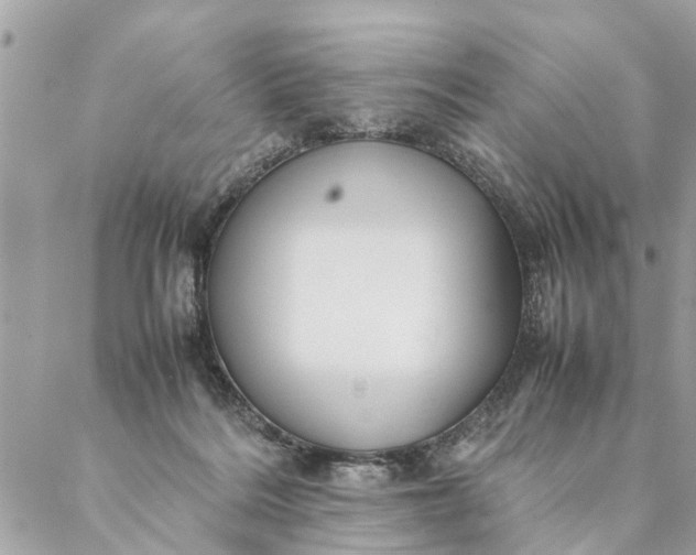 X0000087390220200705042018