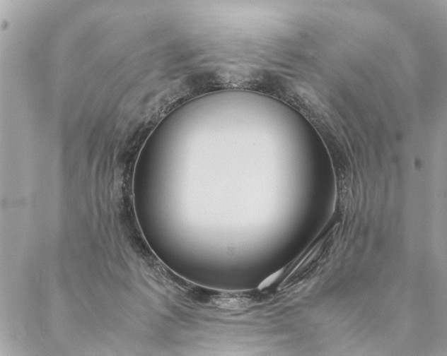 X0000087390221200705042018