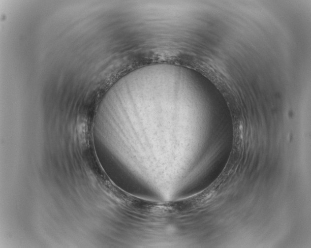 X0000087390222200705042018