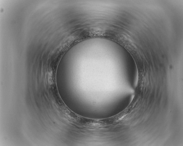 X0000087390224200705042018