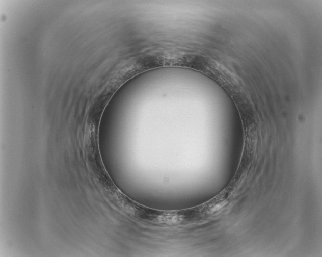 X0000087390225200705042018