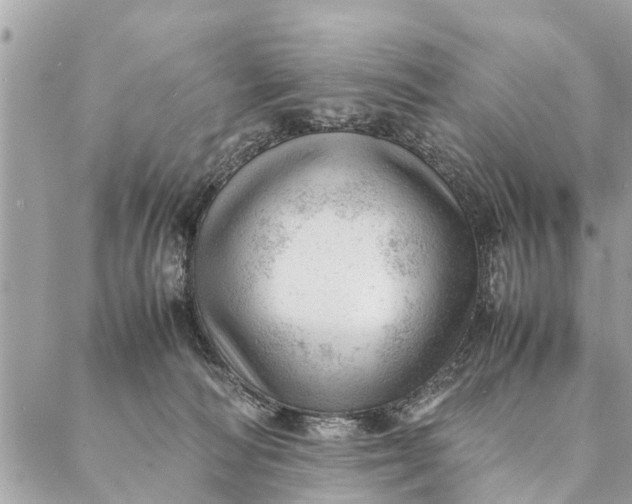 X0000087390226200705042018