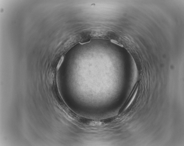 X0000087390227200705042018