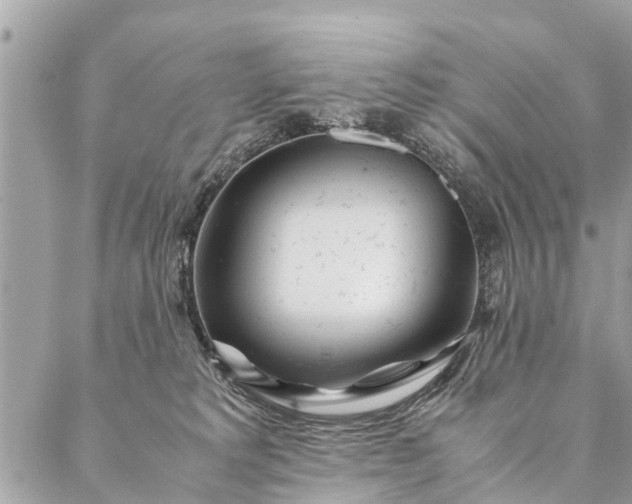 X0000087390229200705042018