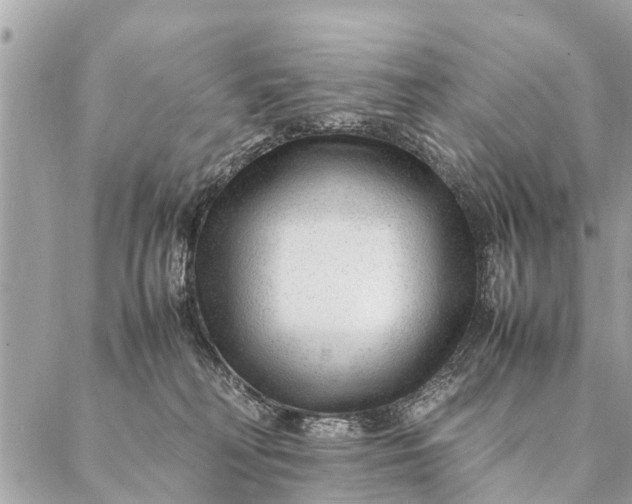 X0000087390230200705042018