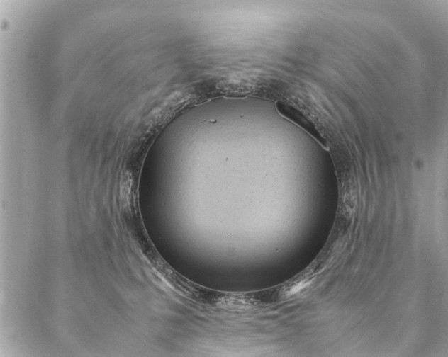 X0000087390231200705042018