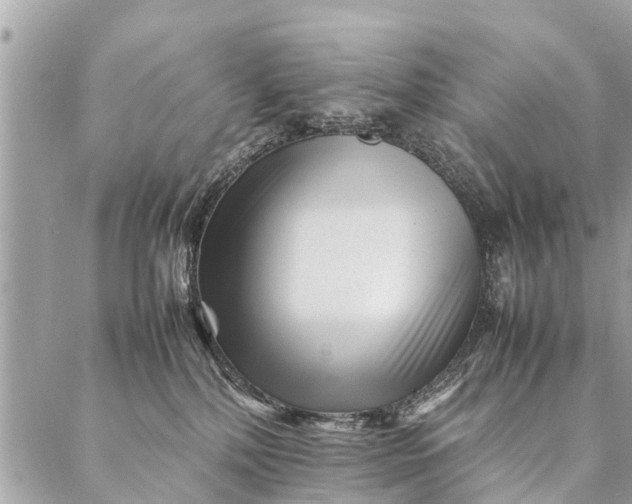 X0000087390232200705042018